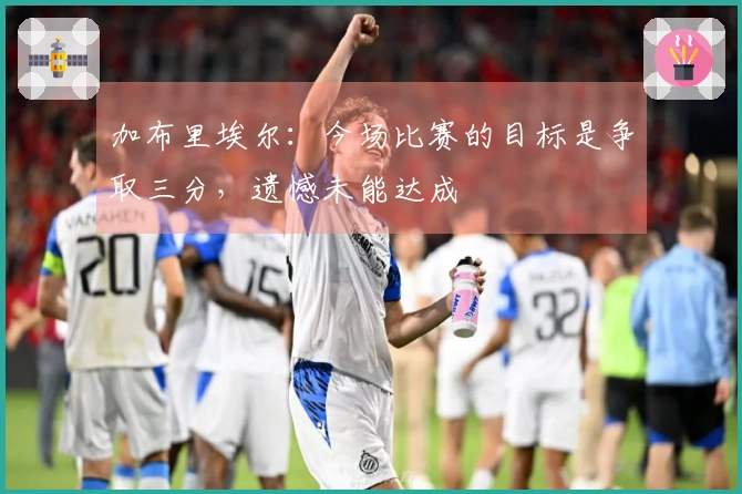 加布里埃尔：今场比赛的目标是争取三分，遗憾未能达成